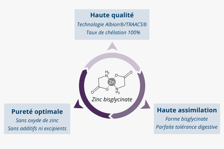 Zinc bisglycinate Albion® TRAACS® : une forme chélatée avec une excellente biodisponibilité